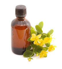 Essential oil of Hypericum perforatum.
