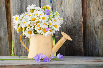 watering can with summerdaisies flowers on wooden background