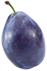 One perfect plum.