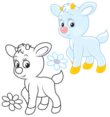 Little white goatling