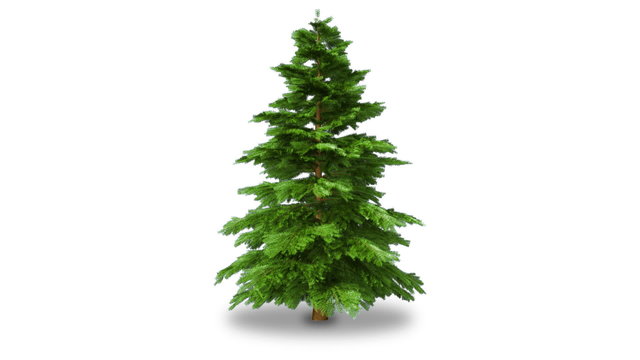 Rotating fir tree, isolated on white. With alpha