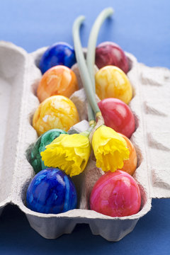 144 BESTE "Gelbe Narzissen" BILDER, STOCK-FOTOS & -VEKTORGRAFIKEN