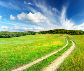 Road on the green meadow. Beautiful summer landscape