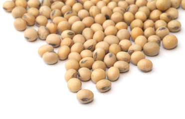Soybean isolated on the white background