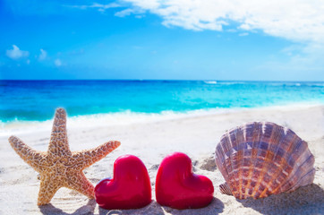 Starfish and seashell with hearts by the ocean