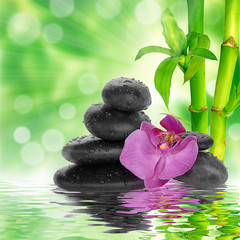 Obraz na płótnie Canvas Spa background - czarne kamienie i bambusa na wodzie