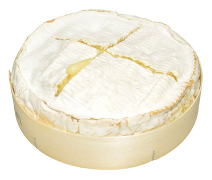Baked Camembert Cheese