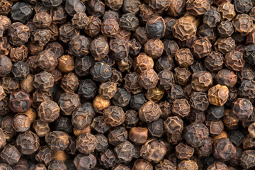 black pepper