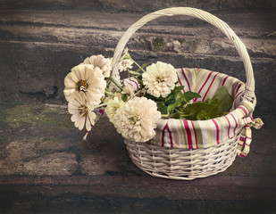 Fototapeta na wymiar Koszyk z białych kwiatów