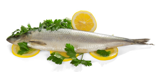 Herring on slices of a lemon and parsley