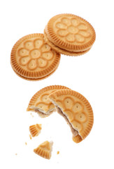 Cookies on white background
