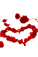 Red rose petals in a heart shape