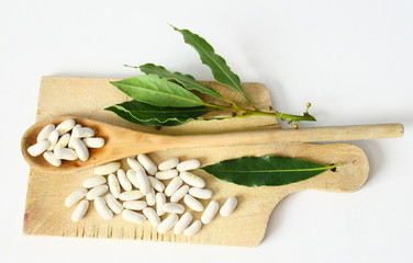 haricots blancs secs, mogette de vendée