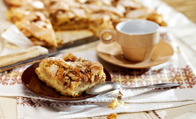 Homemade apple pie with cinnamon and roasted sunflower seeds