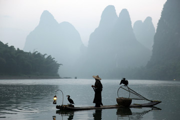 Chinese man vissen met aalscholvers vogels