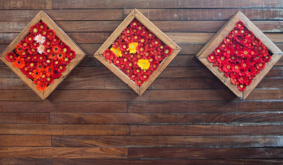 Chrysanthemum flowers in the wooden frame