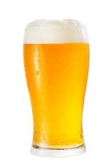 glass of beer