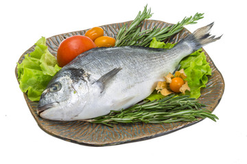 Raw dorado with herbs