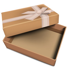 Vector gift box