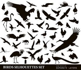 Fototapeta premium Birds vector silhouettes set. EPS 10