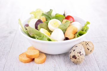 vegetable salad with egg
