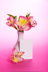 Pink alstroemeria in a vase and an empty card