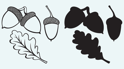 Acorns with leaf isolated on blue background © Kreatiw