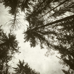 textured old paper background