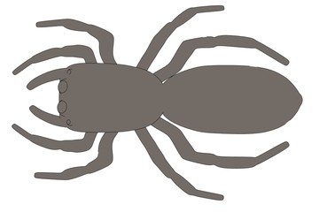 cartoon image of scalticus scenicus