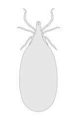 cartoon image of tick animal fed