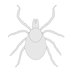 cartoon image of tick nymph