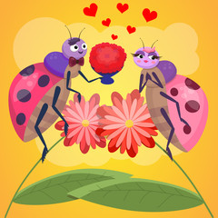 Love bugs