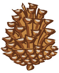 pomme de pin illustration