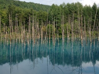 青い池
