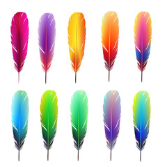 Feathers photos, royalty-free images, graphics, vectors & videos