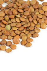 brown lentils isolated on white