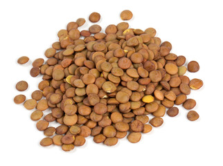 brown lentils isolated on white