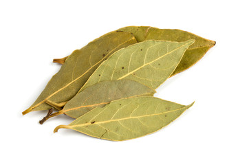 bay leafs isolated on white