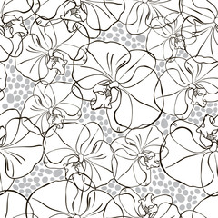 Seamless pattern with black and white orchids .