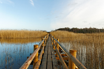Obraz premium View to the lake.