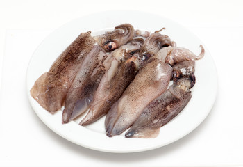 Fresh calamari