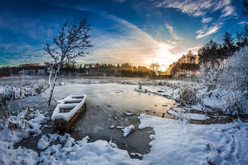 First snow at sunrise in winter