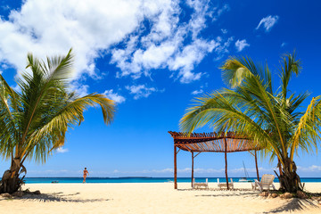 Palm tree and beds  on a tropical beach