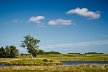 beautiful lake in Dyrehave park, Denmark