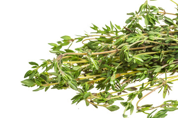 Thyme