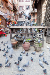 f Kathmandu City Centre and Durbar square Nepal