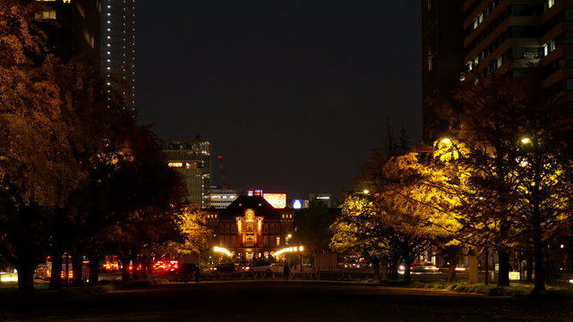 東京駅ライトアップと駅前広場の並木道の夜景　インターバル撮影