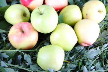 Juicy apples on grass
