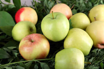 Juicy apples on grass