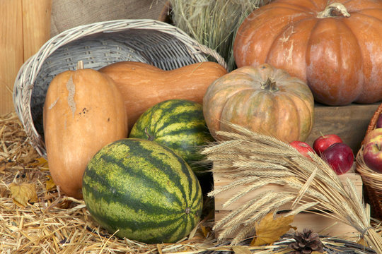 Pumpkins in basket with apples and watermelons on straw close